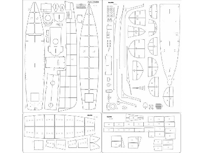 Calypso - Szkielet - zdjęcie 1