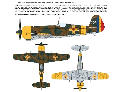 Iar.80b - Romanian Fighter Over Stalingrad - zdjęcie 2