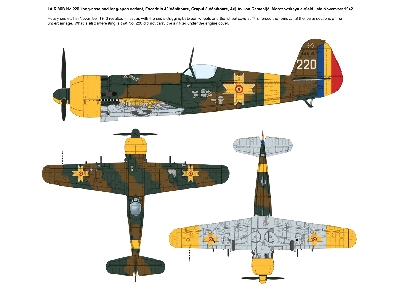 Iar.80b - Romanian Fighter Over Stalingrad - zdjęcie 12