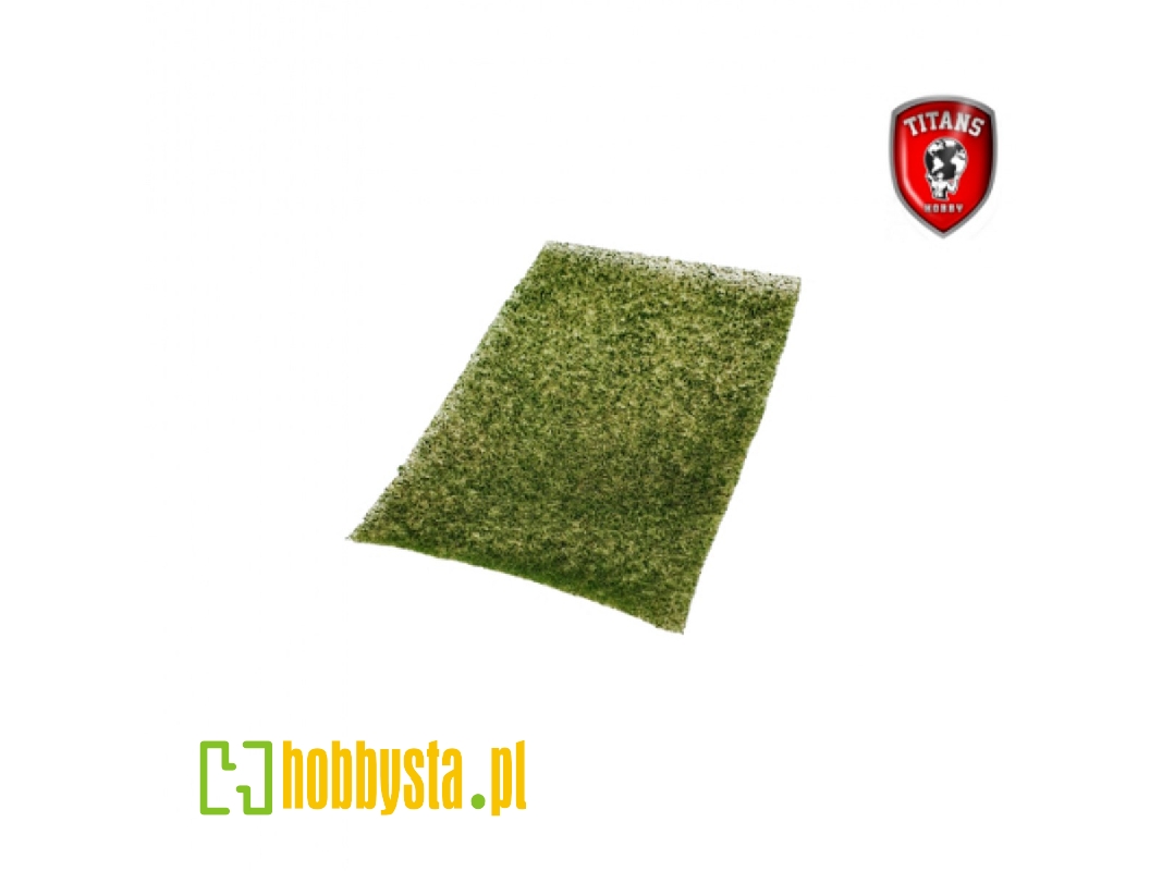 Grass Mat Green Type 3 (4 - 8 Mm / 20 X 30 Cm) - zdjęcie 1