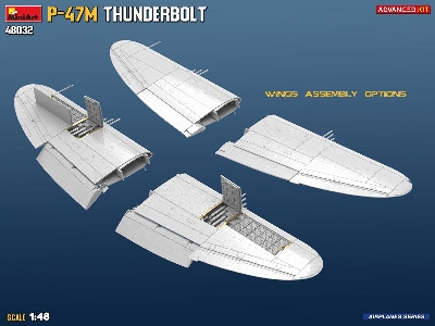 Republic P-47 M Thunderbolt (Advanced Kit) - zdjęcie 3