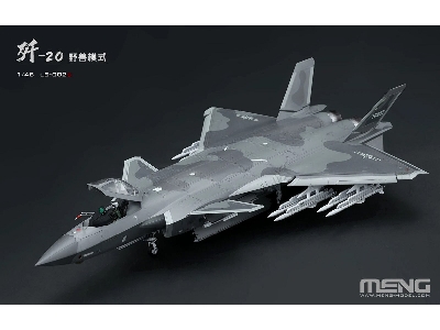 Chinese J-20 Stealth Fighter Beast Mode - zdjęcie 2