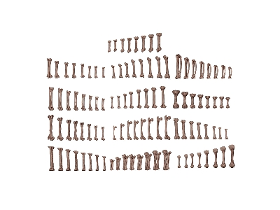 Human Bones - Basing Bits (3d-printed / 104 Pcs) - zdjęcie 2