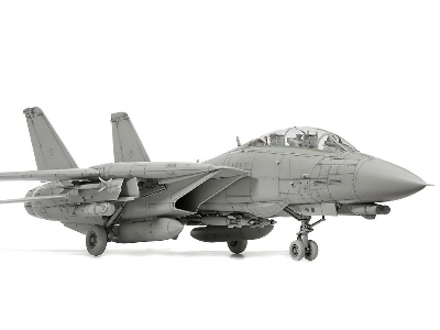 Grumman F-14d Tomcat - zdjęcie 10