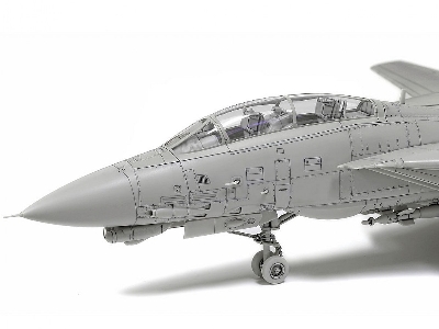 Grumman F-14d Tomcat - zdjęcie 11