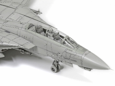 Grumman F-14d Tomcat - zdjęcie 12