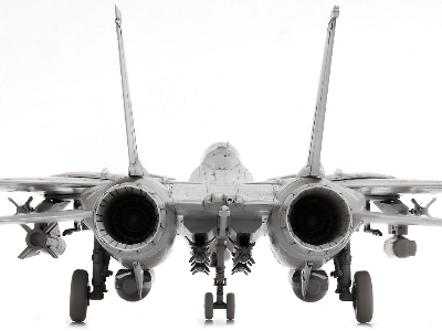 Grumman F-14d Tomcat - zdjęcie 16