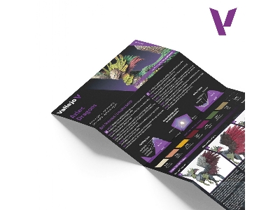 72195 Fantasy Color Set Aztec Dragons - zdjęcie 4