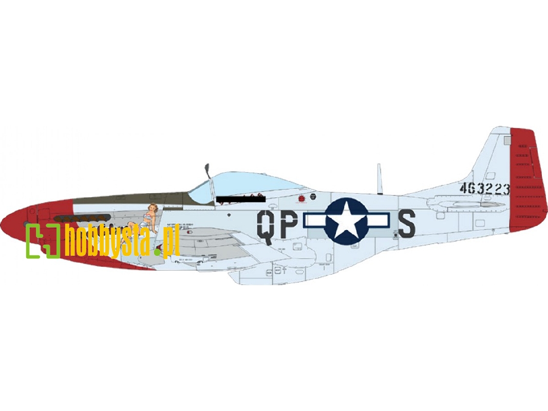 North American P-51 D Mustang - Mighty Eight (4th Fg, 355th Fg, 361st Fg And 479th Fg Decals) - zdjęcie 1