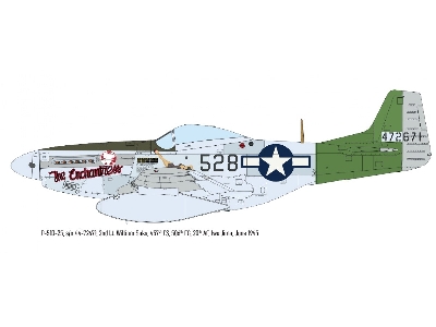 North American P-51 D Mustang - The Weekend Edition - zdjęcie 8