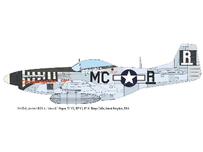 North American P-51 D Mustang - The Weekend Edition - zdjęcie 9