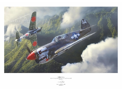 Curtiss P-40 N Warhawk Poster - zdjęcie 1