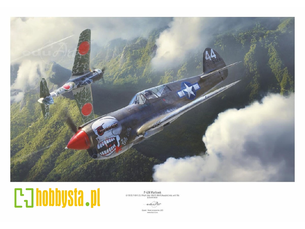 Curtiss P-40 N Warhawk Poster - zdjęcie 1