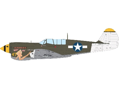 Curtiss P-40 N Warhawk - The Weekend Edition - zdjęcie 11