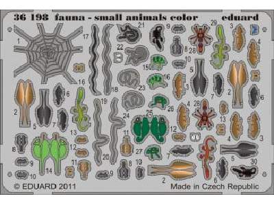  Fauna - small animals - colour 1/35 - blaszki - zdjęcie 1