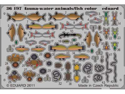  Fauna - water animals/ fish - colour 1/35 - blaszki - zdjęcie 1