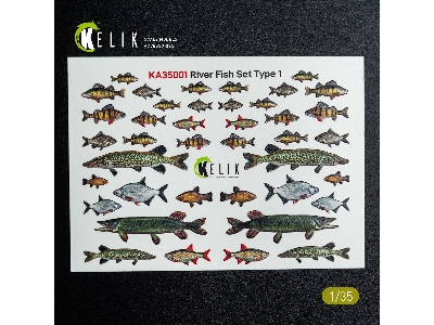 River Fish Set Type 1 - 3d-decal For Dioramas - zdjęcie 1