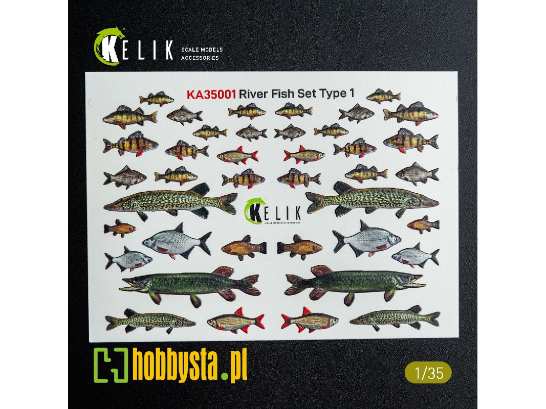 River Fish Set Type 1 - 3d-decal For Dioramas - zdjęcie 1