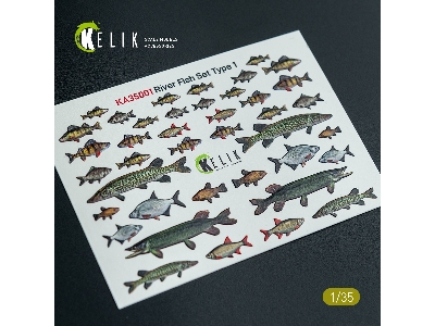 River Fish Set Type 1 - 3d-decal For Dioramas - zdjęcie 2