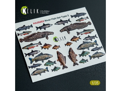 River Fish Set Type 2 - 3d-decal For Dioramas - zdjęcie 1