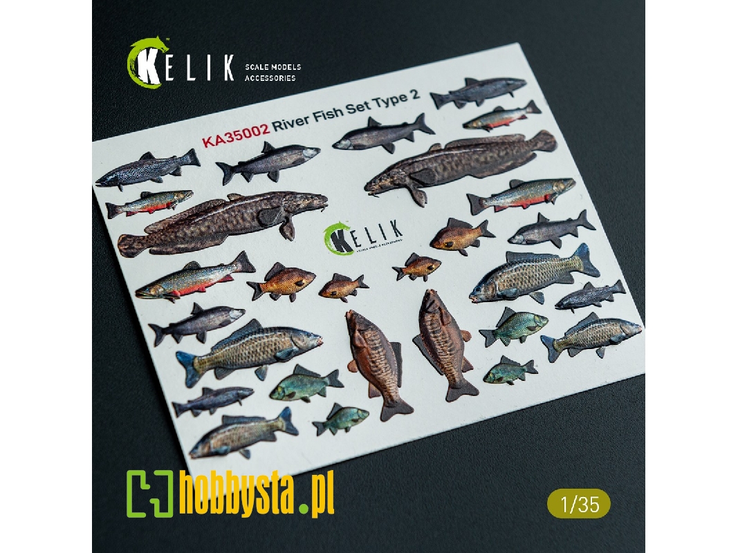 River Fish Set Type 2 - 3d-decal For Dioramas - zdjęcie 1