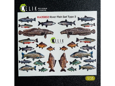 River Fish Set Type 2 - 3d-decal For Dioramas - zdjęcie 2