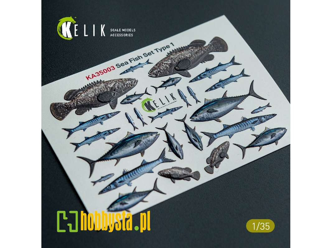 Sea Fish Set Type 1 - 3d-decal For Dioramas - zdjęcie 1