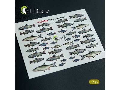 River Fish Set Type 3 - 3d-decal For Dioramas - zdjęcie 1