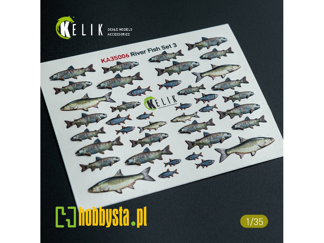 River Fish Set Type 3 - 3d-decal For Dioramas - zdjęcie 1