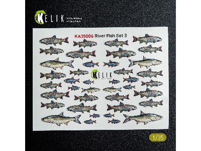 River Fish Set Type 3 - 3d-decal For Dioramas - zdjęcie 2
