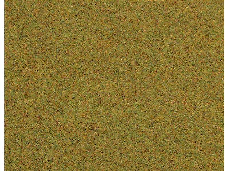 Mata jasno-zielona - 40 x 29,5 cm - 2 sztuki - zdjęcie 1 Mata jasno-zielona - 40 x 29,5 cm - 2 sztuki - zdjęcie 1