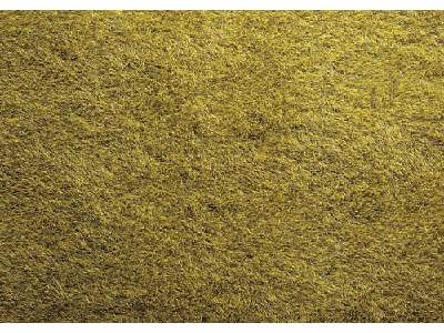 Mata dzika trawa, jasno-zielona - 40 x 29,5 cm - zdjęcie 1