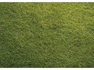 Mata dzika trawa, ciemno-zielona - 40 x 29,0 cm - zdjęcie 1