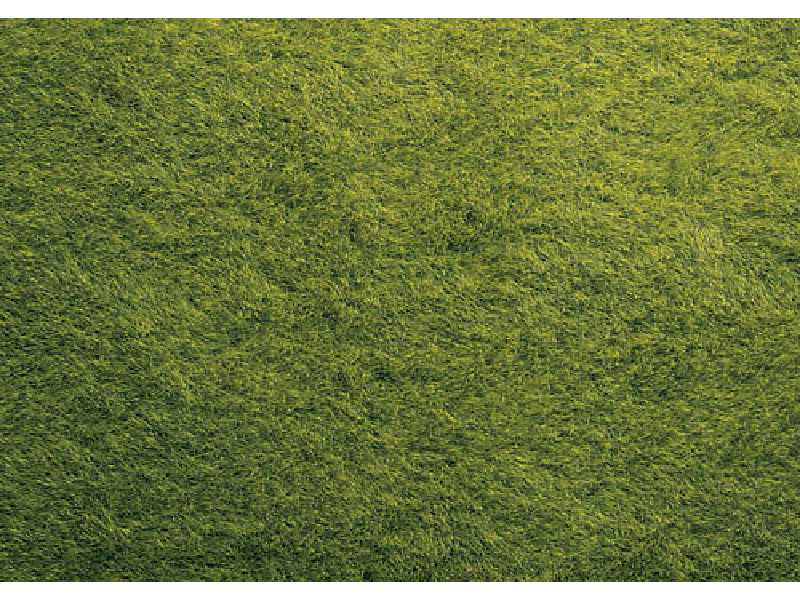 Mata dzika trawa, ciemno-zielona - 40 x 29,0 cm - zdjęcie 1 Mata dzika trawa, ciemno-zielona - 40 x 29,0 cm - zdjęcie 1