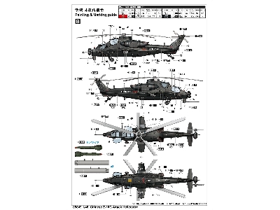 Chinese Z-10 G Attack Helicopter - zdjęcie 13