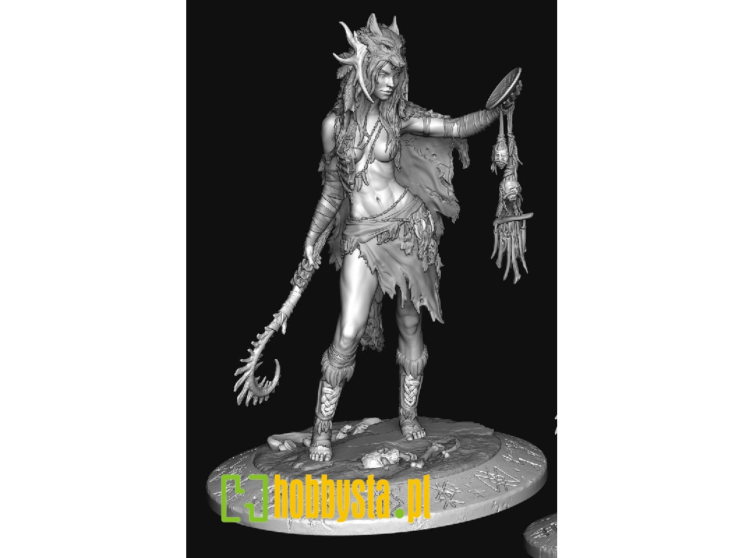 Northen European Tribal Shaman - zdjęcie 1