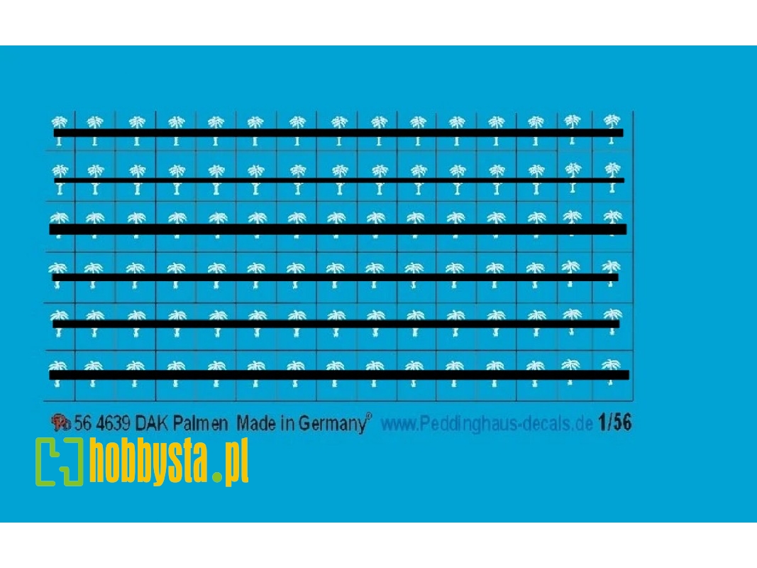Dak Palmen - zdjęcie 1
