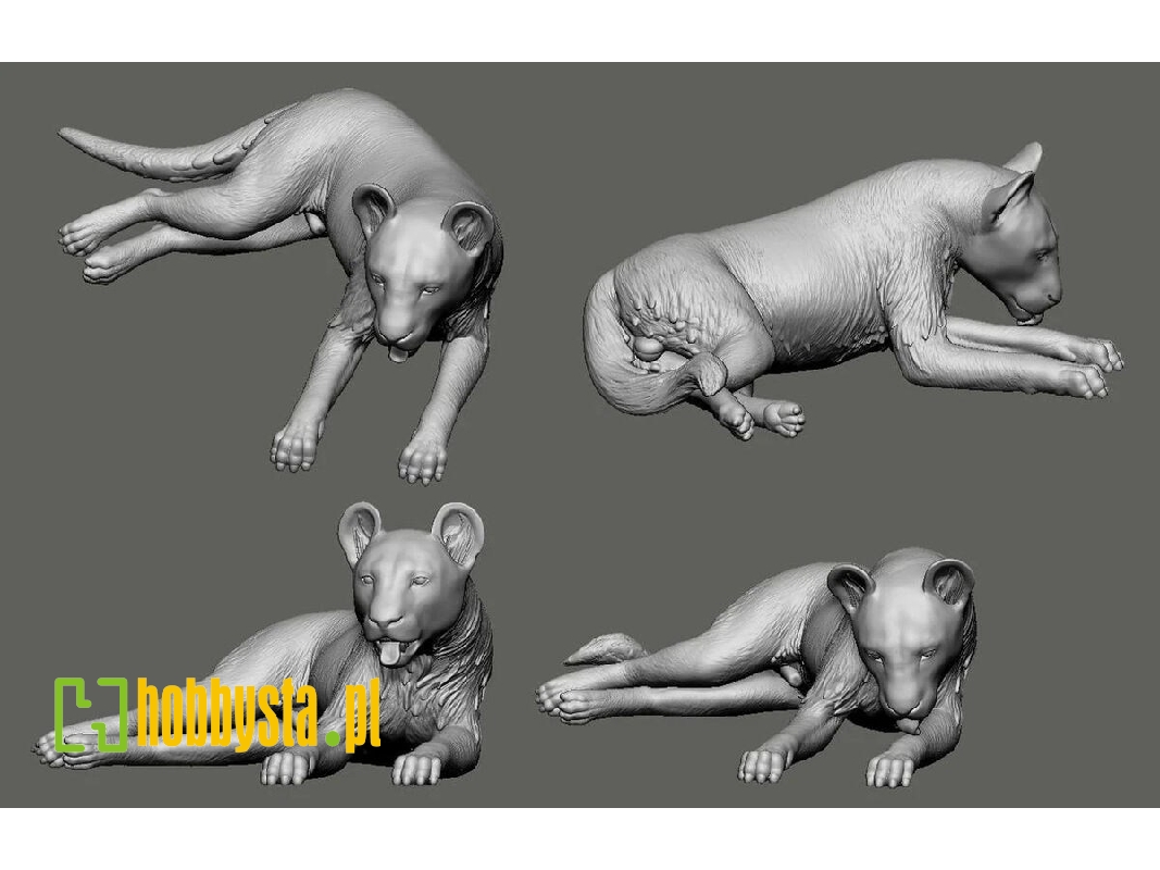 Wwi - N 124 Lafayette Escadrille - Lions, Whisky Und Soda (3d-printed) - zdjęcie 1