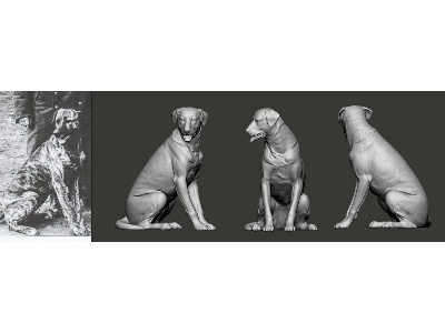 German Wwi Ace - Manfred Von Richthofen And Hund Moritz - zdjęcie 1