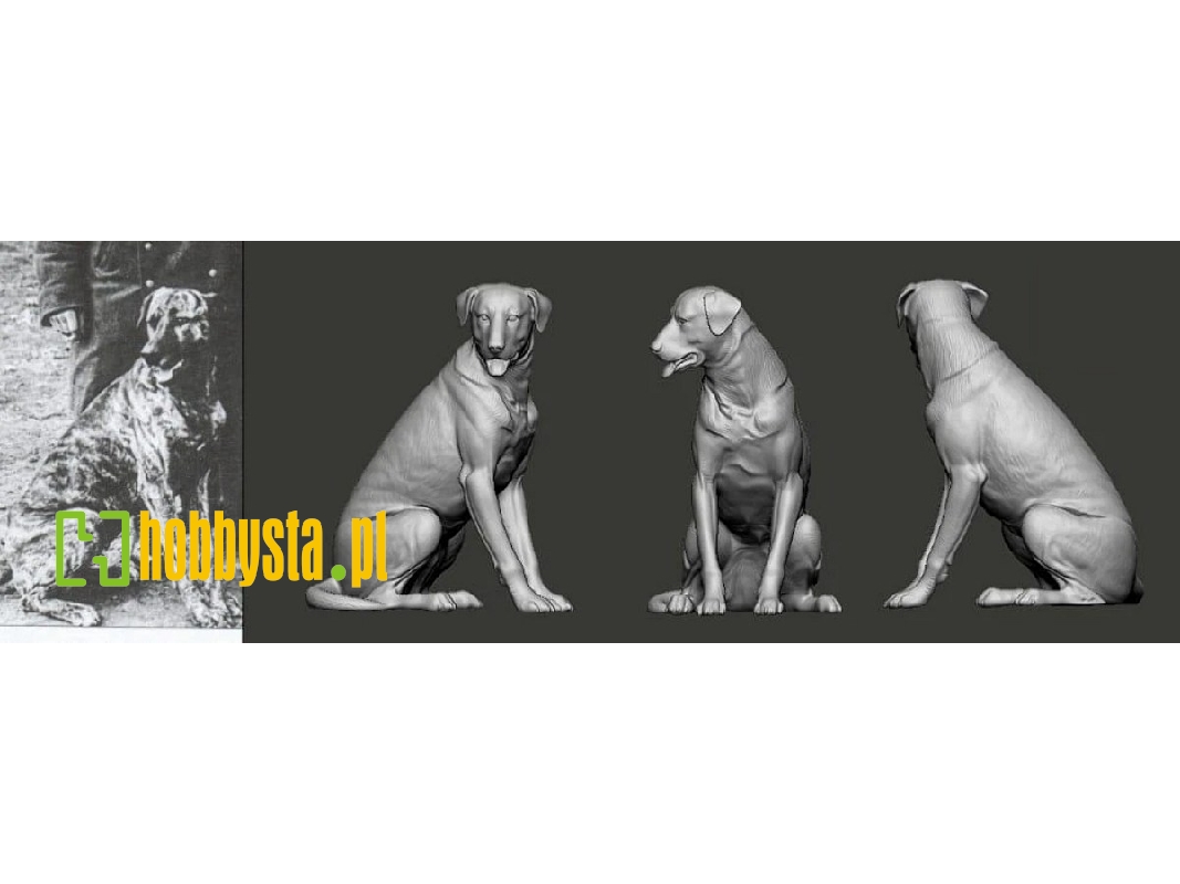 German Wwi Ace - Manfred Von Richthofen And Hund Moritz - zdjęcie 1