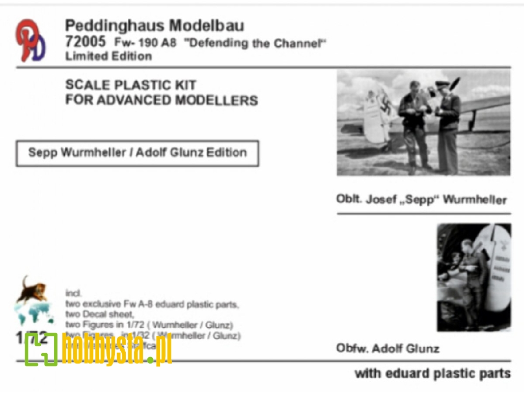 Focke Wulf Fw-190 A-8 - Wurmheller / Glunz - zdjęcie 1