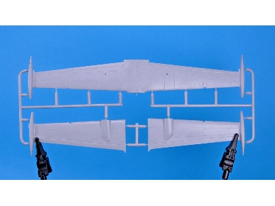 Emb-111an Bandeirulha - zdjęcie 5