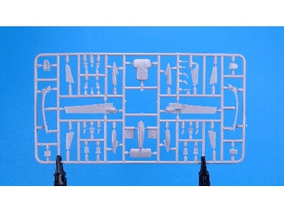 Emb-145i Netra - zdjęcie 6