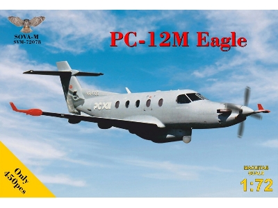 Pilatus Pc-12 M Eagle - zdjęcie 1