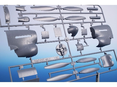 Tempest Mk.V - 'doodle-bug Hunters' - zdjęcie 2