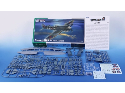 Tempest Mk.V - 'doodle-bug Hunters' - zdjęcie 6