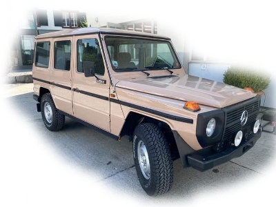 4x4 Lkw 0,5t Gl Typ 460 - zdjęcie 1