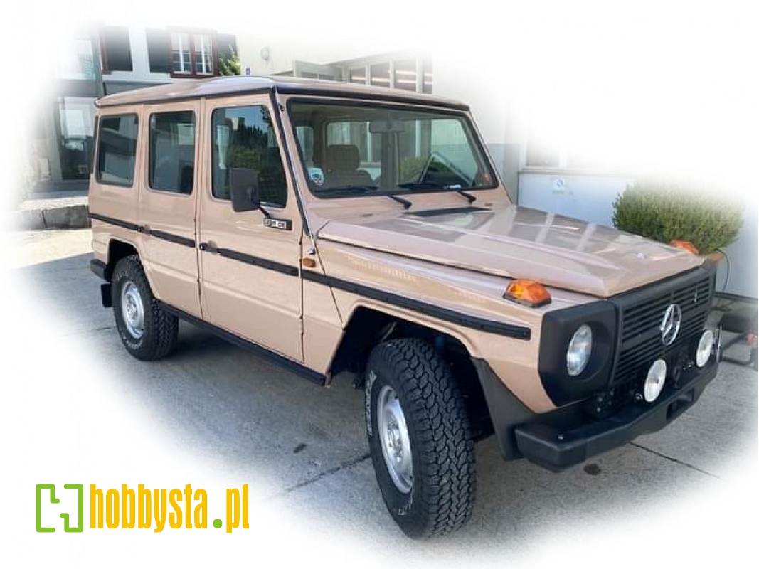 4x4 Lkw 0,5t Gl Typ 460 - zdjęcie 1