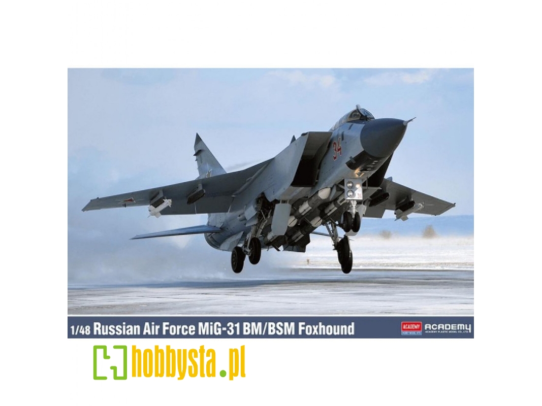 Mig-31 Bm / Bsm Foxhound - Russian Air Force - zdjęcie 1