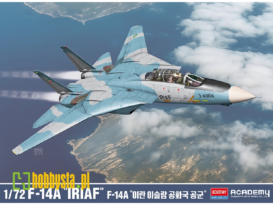 Grumman F-14 A Tomcat - Iranian Air Force - zdjęcie 1